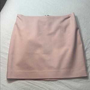 Express Blush Mini Skirt